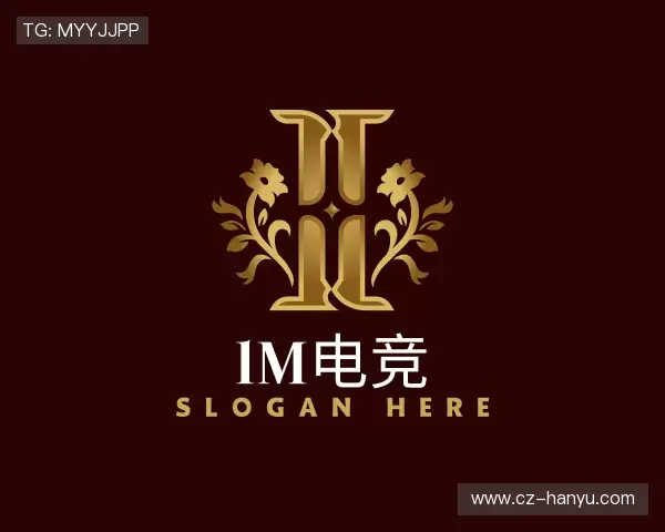 介绍im电竞